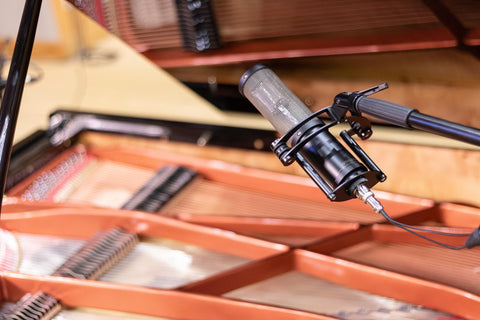 A Professional Guide to Live Performance Microphones